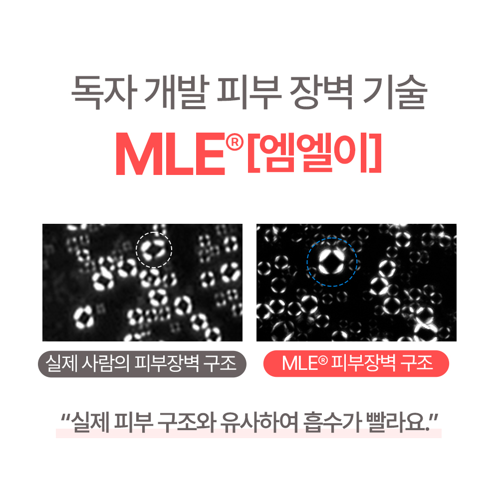 독자 개발 피부 장벽 기술 MLE 실제 피부 구조와 유사하여 흡수가 빨라요
