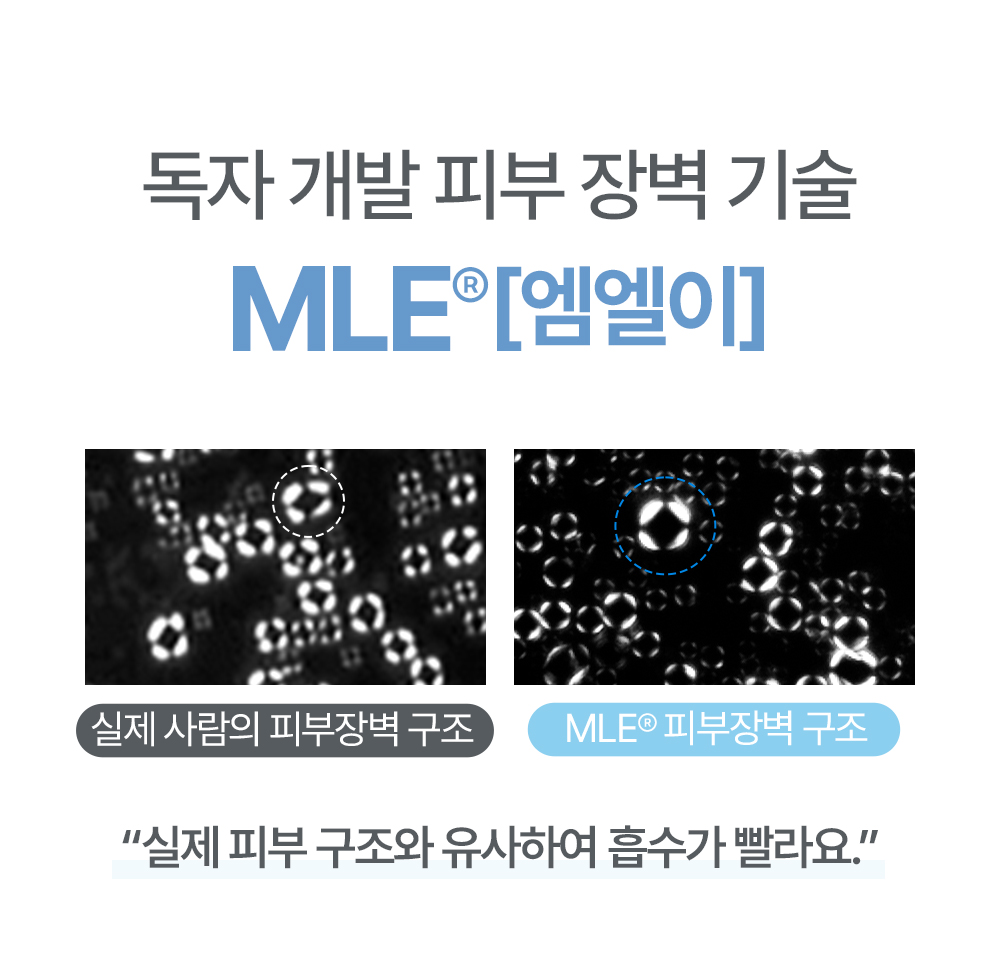 독자 개발 피부 장벽 기술 MLE 실제 피부 구조와 유사하여 흡수가 빨라요