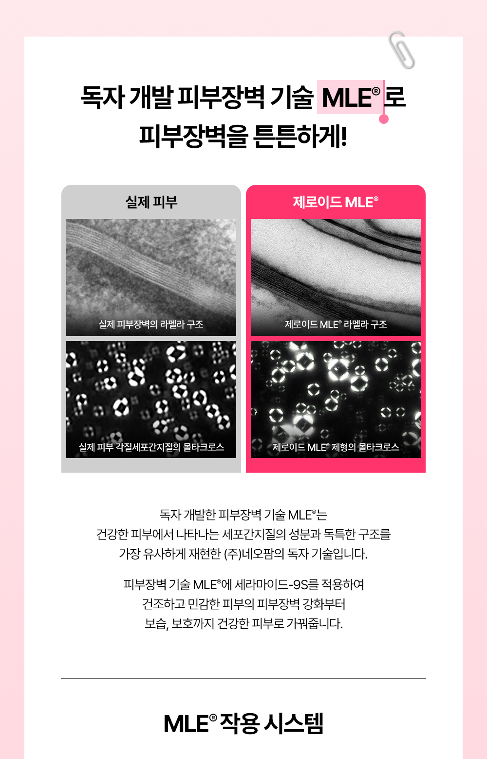 독자 개발 피부장벽 기술 MLE로 피부장벽을 튼튼하게