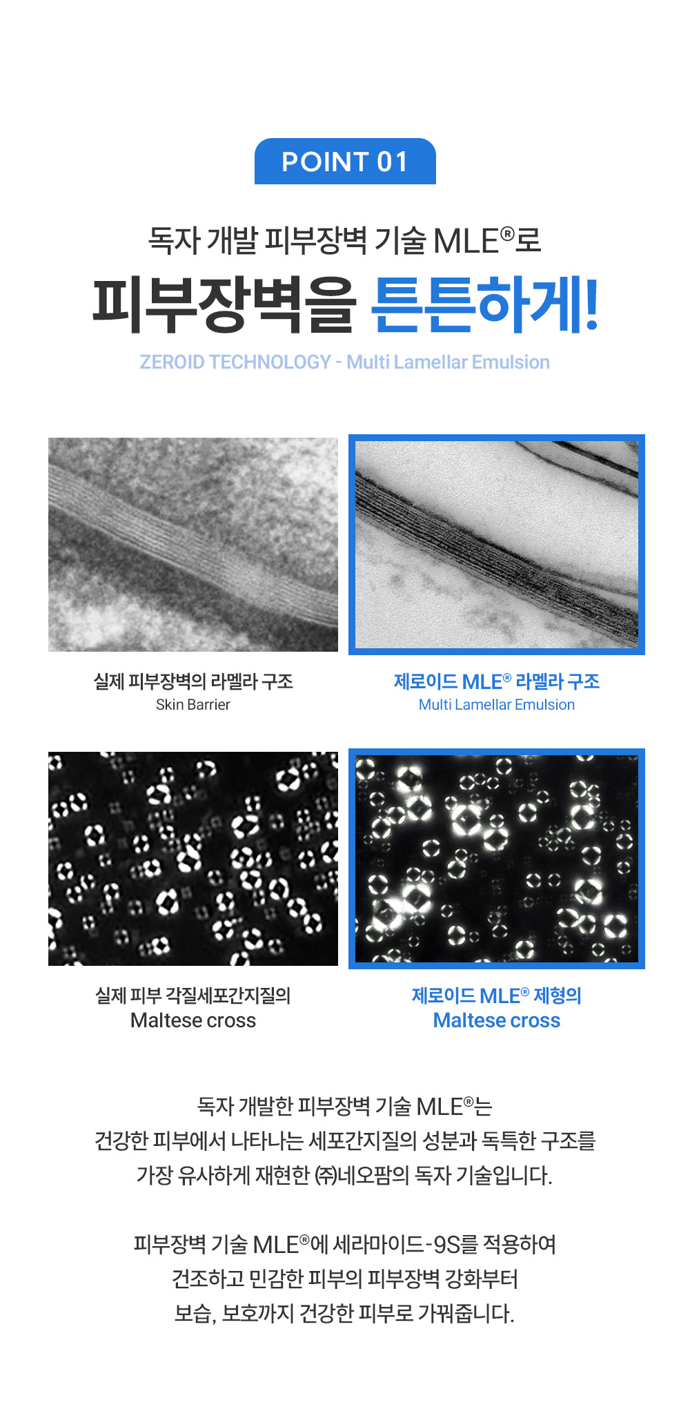 point01 독자 개발 피부장벽 기술 MLE로 피부장벽을 튼튼하게