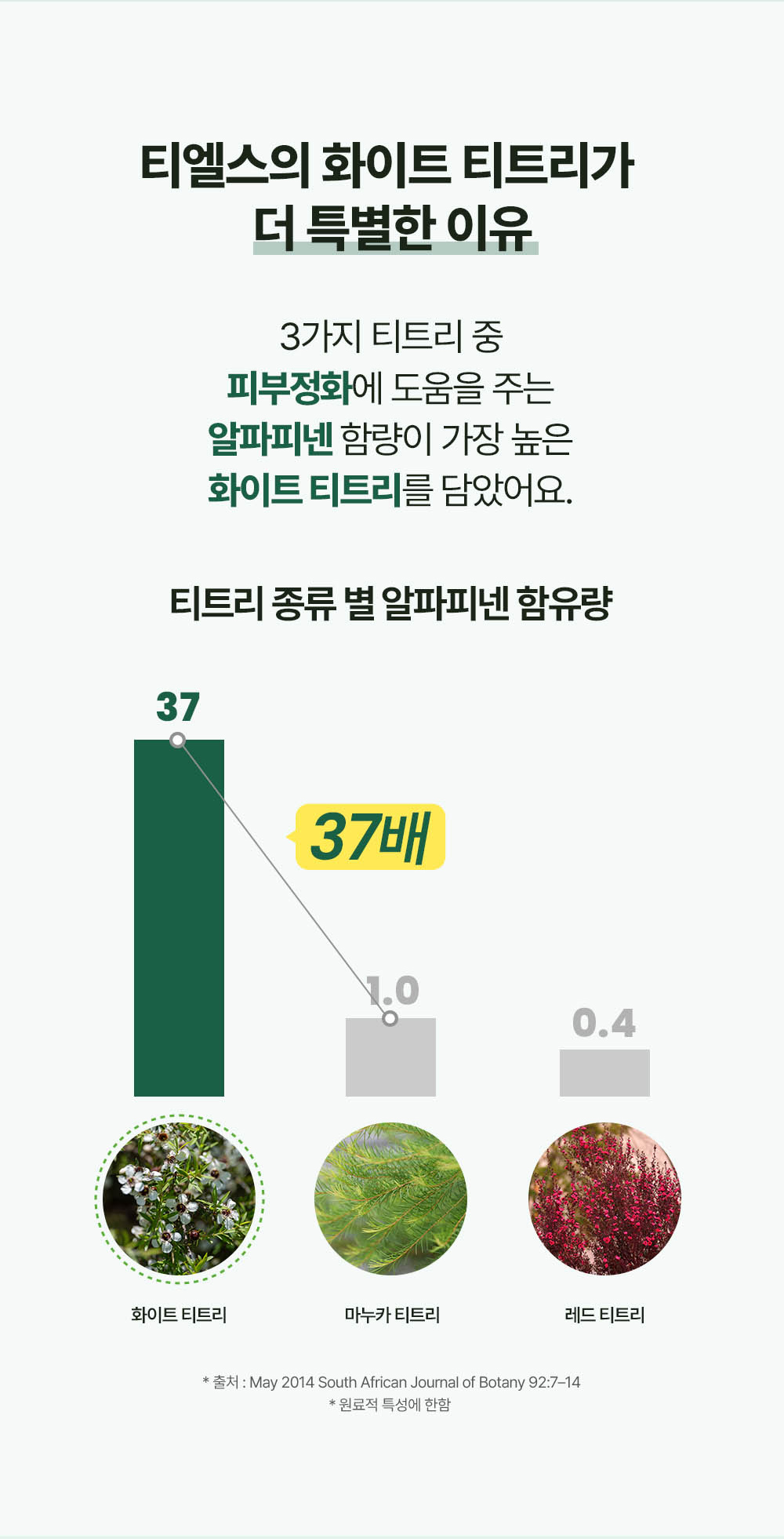 Three reasons why Telse's White Tea Tree is special: It contains the highest alpha-pinene content among tea trees that help purify the skin. The alpha-pinene content of White Tea Tree is 37 times more than other tea tree types.
