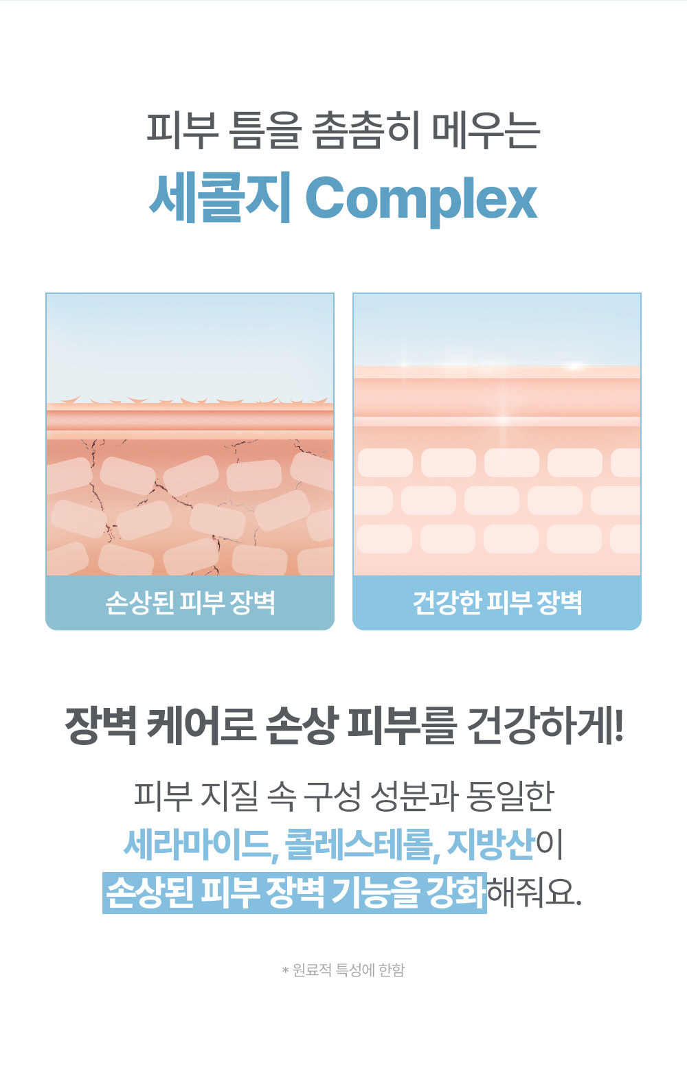 피부 틈을 촘촘히 메우는 세콜지 Complex