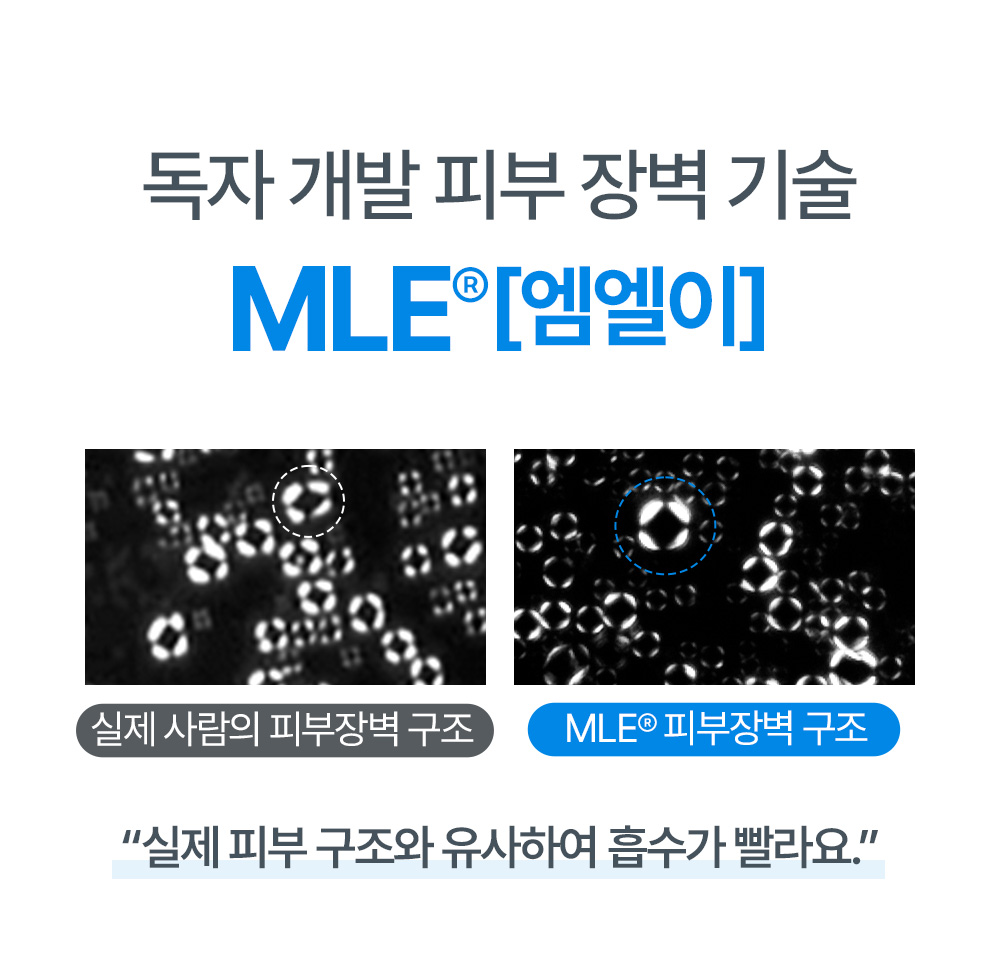 독자 개발 피부 장벽 기술 MLE