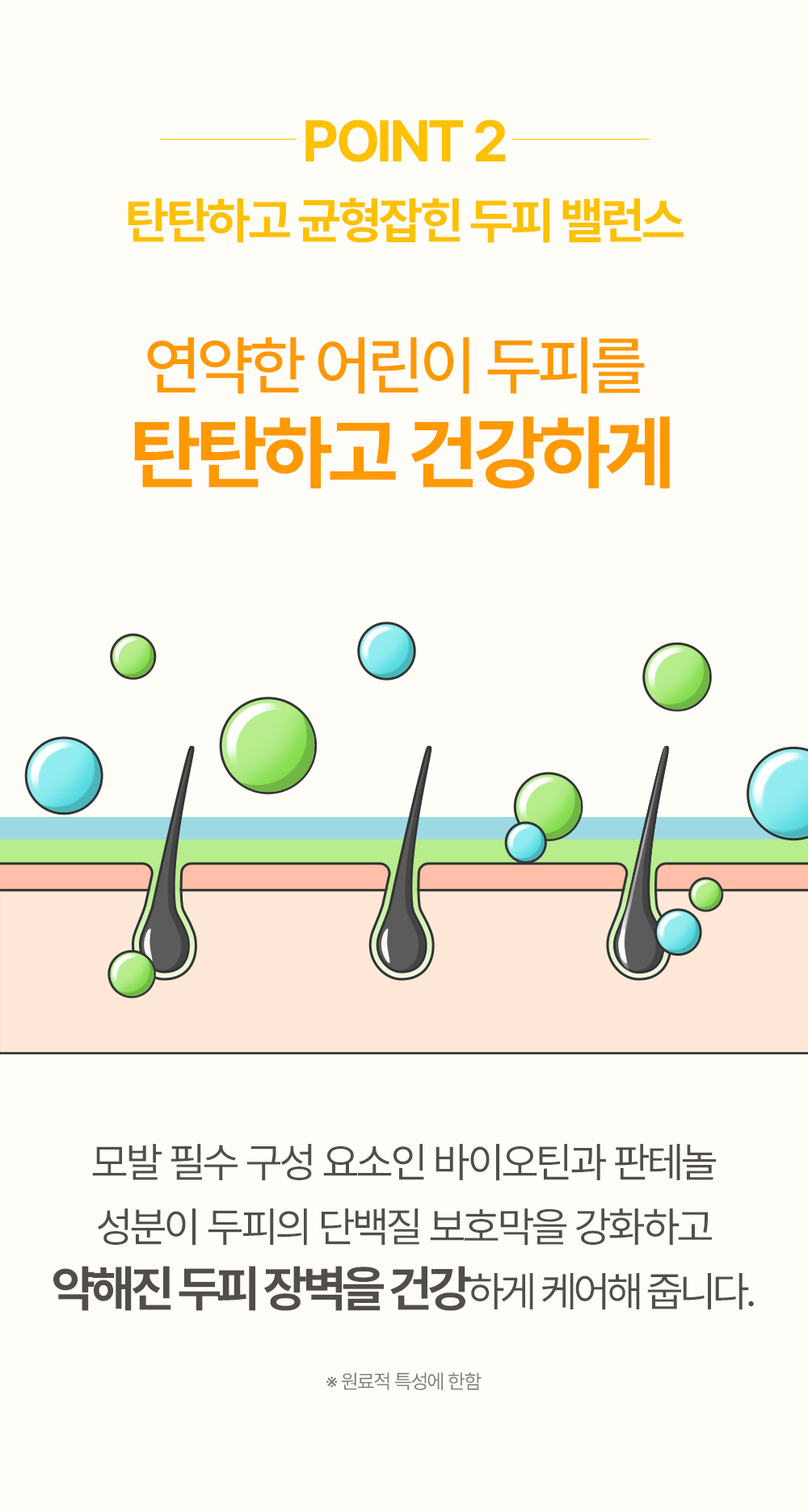 point2 탄탄하고 균형잡힌 두피 밸런스 연약한 어린이 두피를 탄탄하고 건강하게