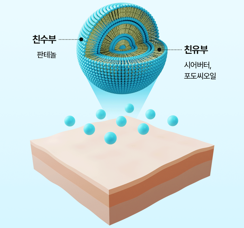 촉촉하게 피부로 스며드는 걸 보여주는 3D 영상