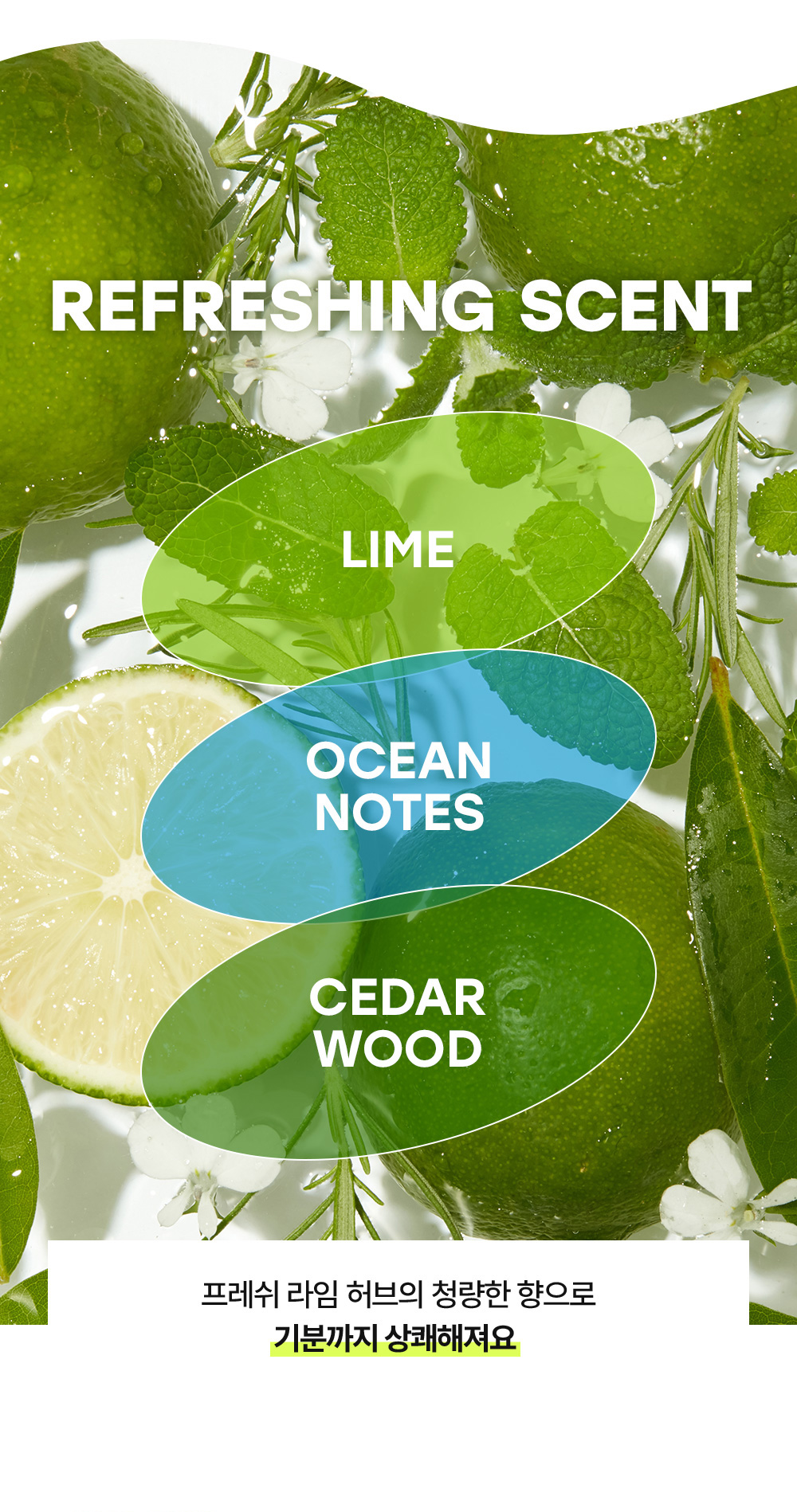 REFRESHING SCENT 프레쉬 라임 허브의 청량한 향으로 기분까지 상쾌해져요