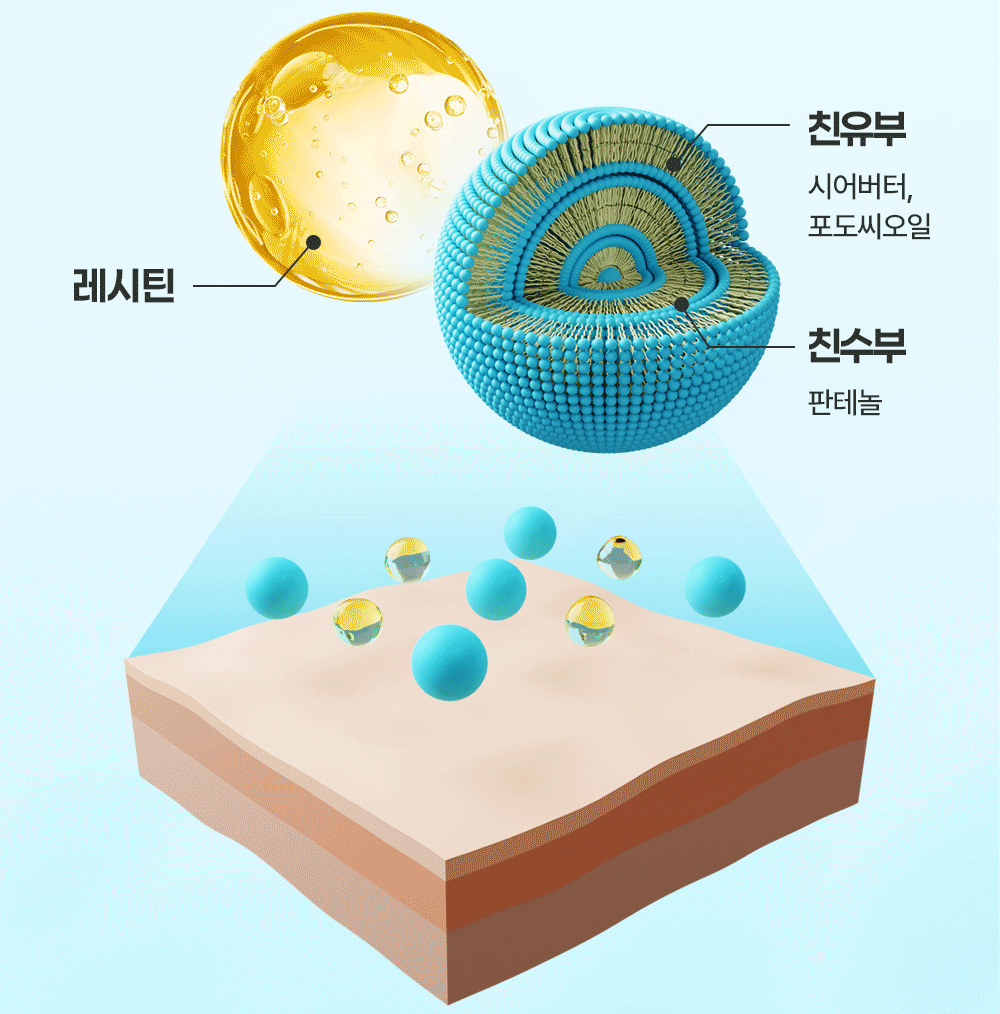 레시틴 / 친유부 - 시어버터, 포도씨오일 / 친수부 - 판테놀