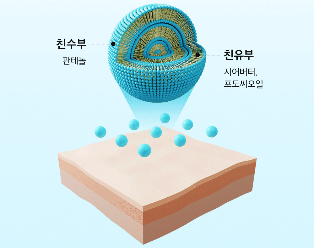 친수부 판테놀 / 친유부 시어버터, 포도씨오일