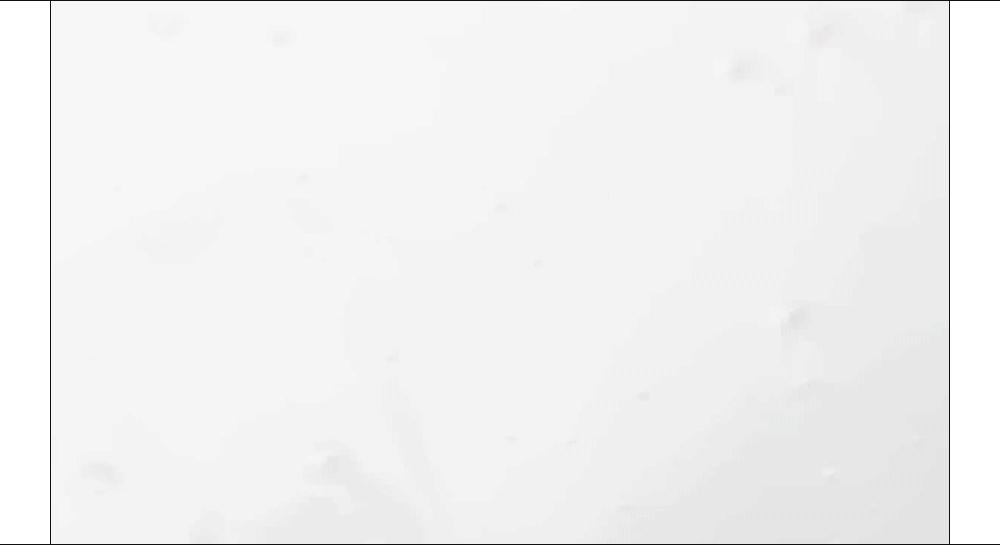 부드럽고 풍성한 크림 투 폼 제형 이미지