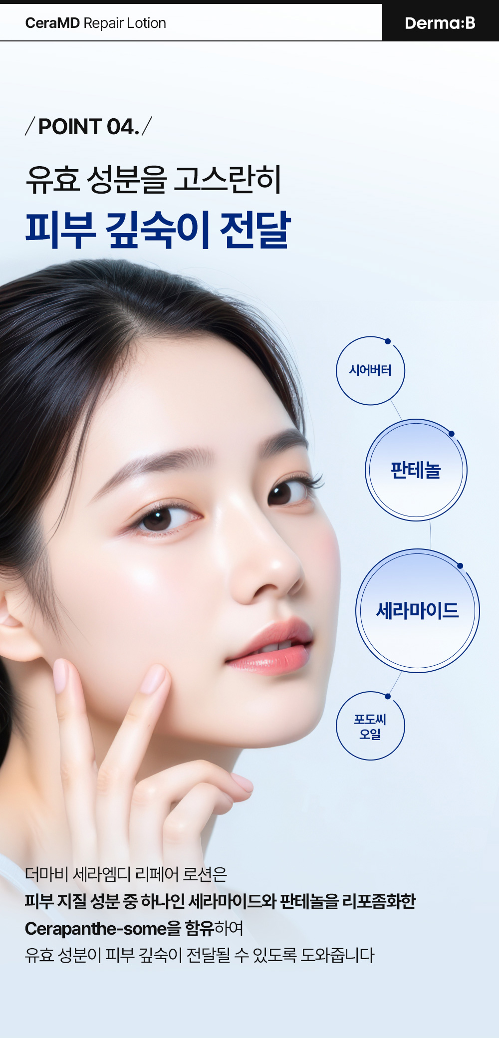 POINT 04. 유효 성분을 고스란히 피부 깊숙이 전달 더마비 세라엠디 리페어 로션은 피부 지질 성분 중 하나인 세라마이드와 판테놀을 리포좀화한 Cerapanthe-some을 함유하여 유효 성분이 피부 깊숙이 전달될 수 있도록 도와줍니다