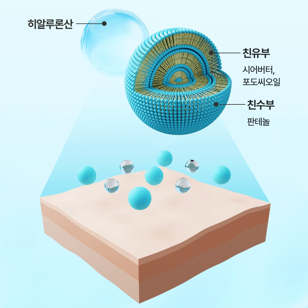 히알루론산 친유부 시어버터, 포도씨오일 친수부 판테놀