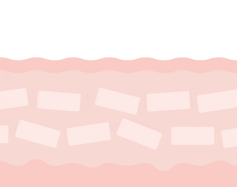 GIF image showing recovery of skin barrier