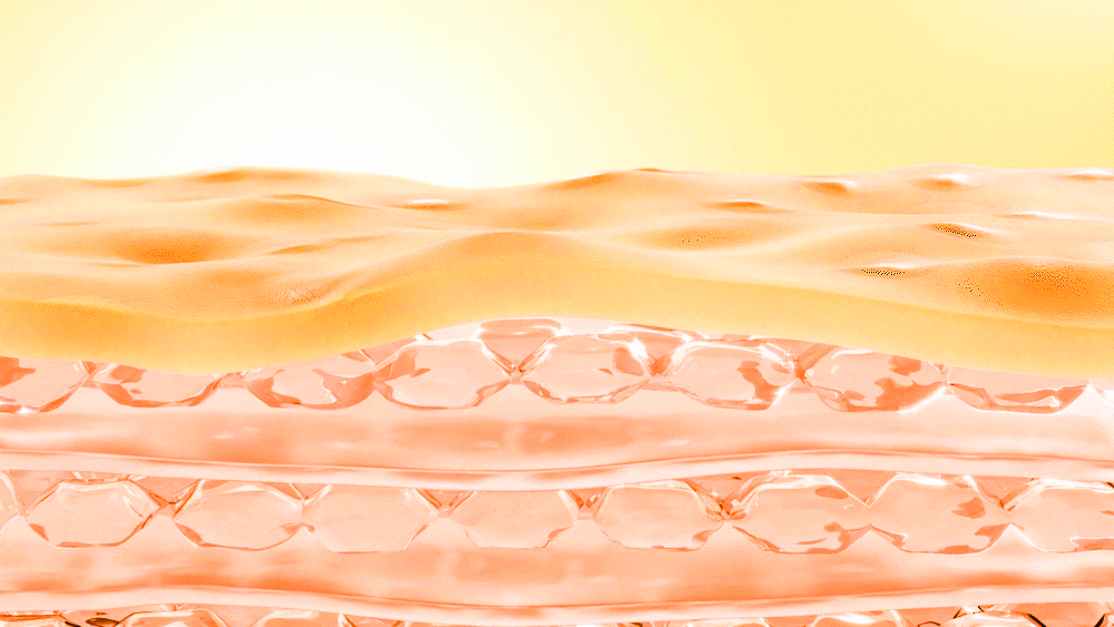 비타C 리포솜이 피부층에 깊숙이 침투하는 것을 보여주는 gif 이미지