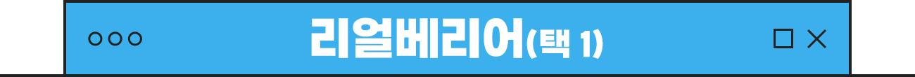 리얼베리어
